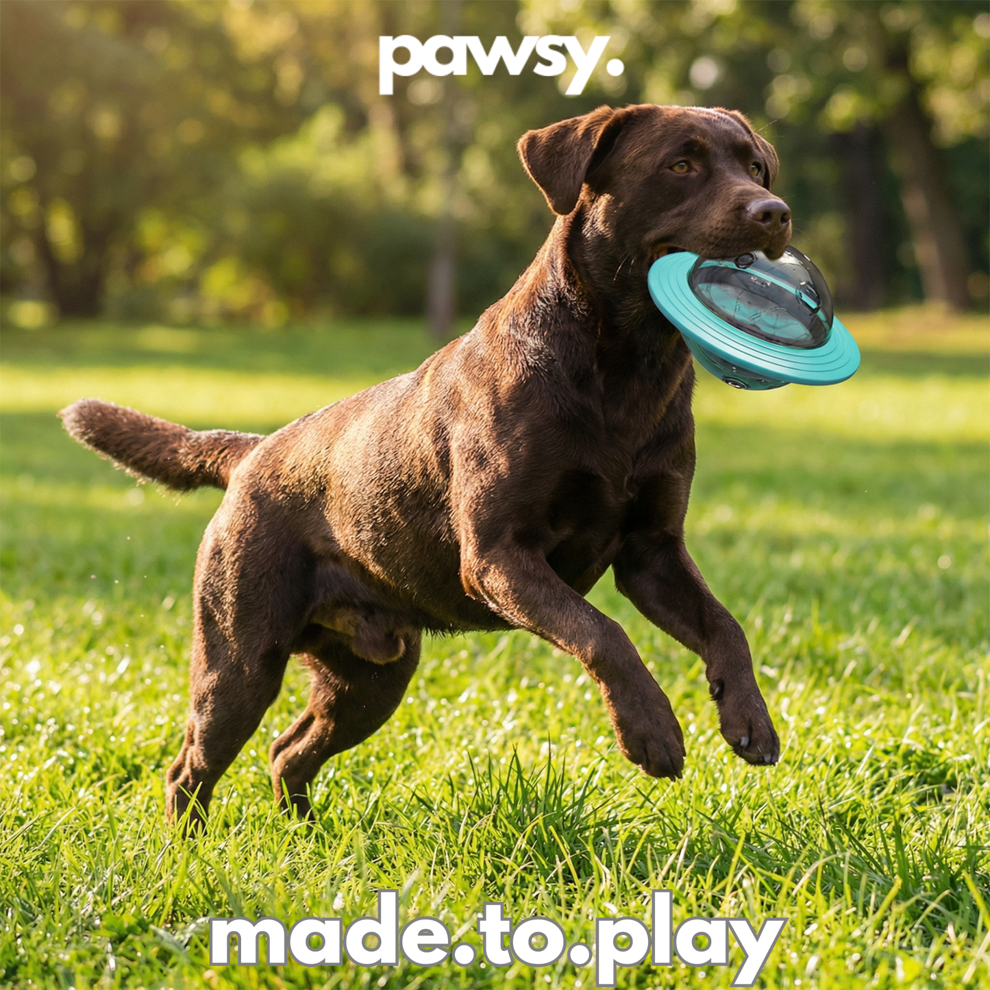PawsyPop™ - Dog Enrichment Ball