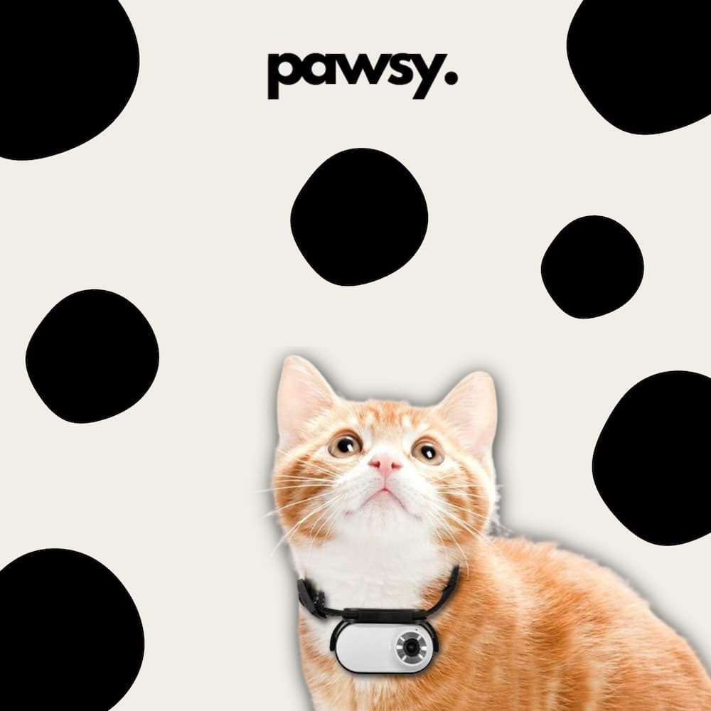 PawsyCam™ - Pet Action Camera