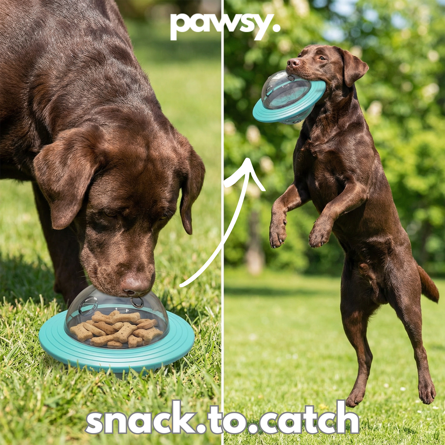 PawsyPop™ - Dog Enrichment Ball