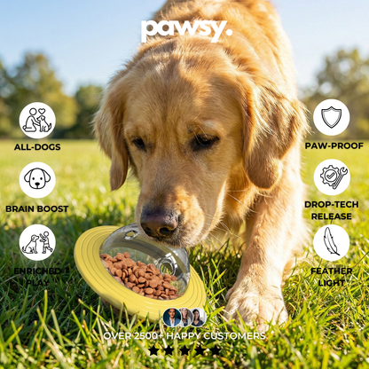 PawsyPop™ - Dog Enrichment Ball
