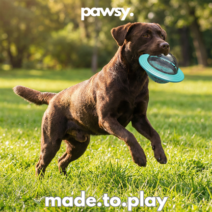 PawsyPop™ - Dog Enrichment Ball