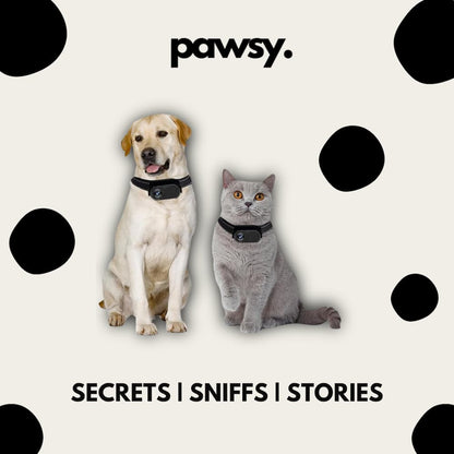 PawsyCam™ - Pet Action Camera