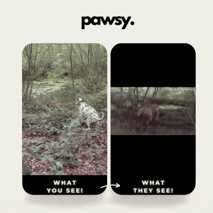 PawsyCam™ - Pet Action Camera